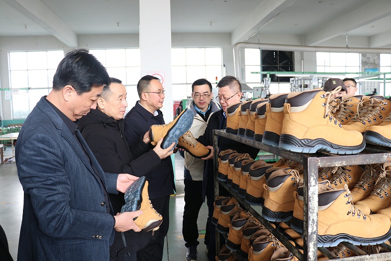 中国皮革协会副理事长陈占光一行莅临百华鞋业指导工作