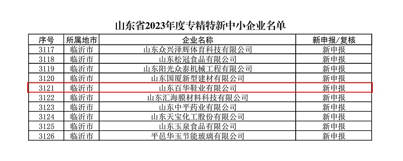 热烈祝贺百华鞋业通过山东省专精特新企业认定！